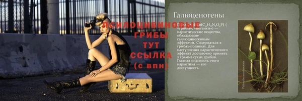 эйфоретик Алзамай
