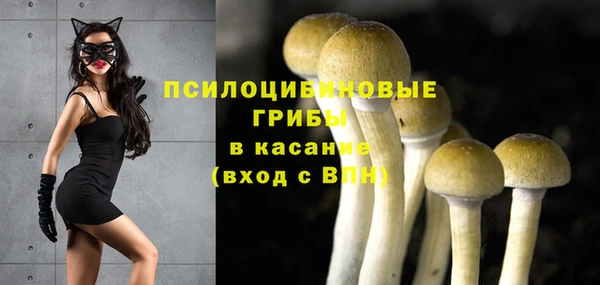 эйфоретик Тихвин