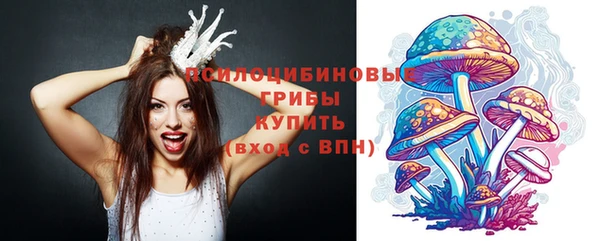 2c-b Алексин