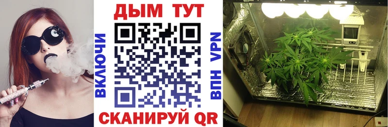Бошки марихуана Bruce Banner Новосибирск